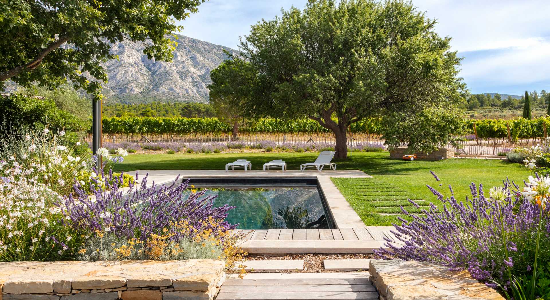 Provençal garden with swimming pool designed by a landscape architect