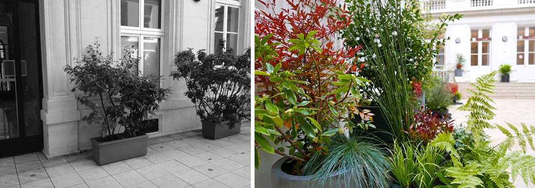 Un jardinier paysagiste aménage la cour intérieure d'un hôtel particulier à Lyon