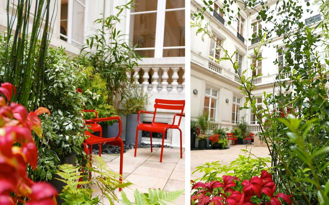 Aménagement paysager de la cour d'un hôtel particulier à Lyon
